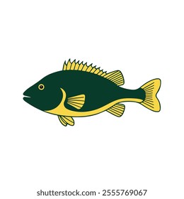 Flat illustration of a goliath grouper with deep green body, broad shape, minimalistic design, clean background, modern aesthetic