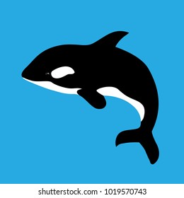 Flat illustration with grampus on a blue background. Vector killer whale for your design.