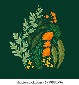 Flat illustration of grass and flower fields. A bouquet of wormwood, fennel, dandelion and St. Johns wort on a dark green background. Vector summer and bright flower image.