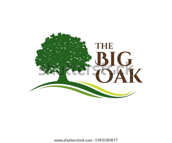 flat illustration of green big oak tree on the\
ground valley