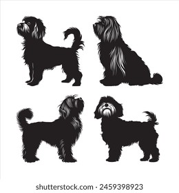 Flat illustration of Havanese dog silhouette