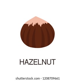Flat illustration of hazelnut vector icon for web