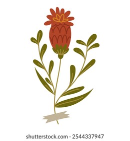 Ilustración plana de flores de herbario. Espino negro. Una flor sobre blanco. Un elemento decorativo de diseño floral. Hierbas, plantas con flores con un trozo de cinta adhesiva. Ilustración vectorial botánica