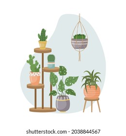 The flat illustration with house pants in pots. Planting. Decorative plants in the interior of the house. Flat style.