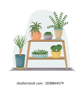 Ilustración plana con pantalones de casa en ollas. Plantar. Plantas decorativas en el interior de la casa. Estilo plano.