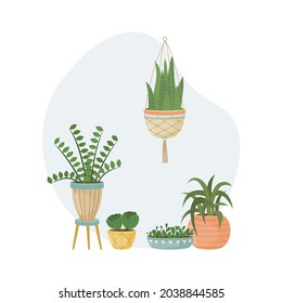 The flat illustration with house pants in pots. Planting. Decorative plants in the interior of the house. Flat style.
