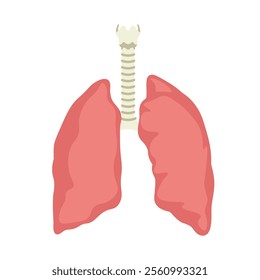 Flat illustration of human lungs and trachea in pink and beige tones, isolated on a white background.