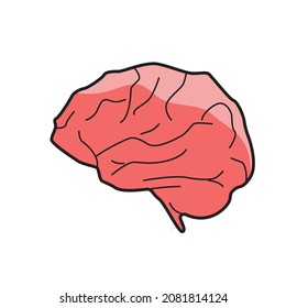 flat illustration of human organs