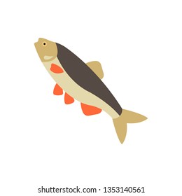 Flat illustration of a ide fish for food market and restaurant.