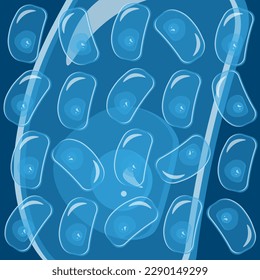 Ilustración plana de la infusoria de la zapatilla. Una célula humana con elementos transparentes y centro luminoso. Un simple elemento genético. Una parte integral del cuerpo. Tarjeta sintonizada. Microorganismo extranjero.