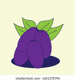 Ilustración plana. fruto de jamblang aislado sobre fondo liso. Adecuado para papel pintado, banner, Ilustración de libro infantil, invitación de tarjeta, volante, diseño web. Comida saludable.