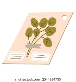 Flat illustration of leaves from a herbarium. branch of eucalyptus attached to page. Dried flower in the catalog. decorative element of floral design. Herbs, plant leaves with piece of tape attached