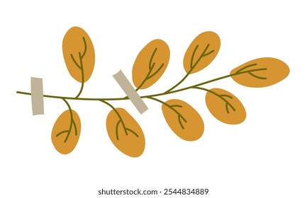 Ilustración plana de hojas de un herbario. Acacia amarilla. Flor seca en un blanco. elemento decorativo de diseño floral. hierbas, hojas de una planta con un pedazo de cinta. ilustración botánica