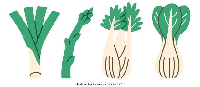 Flat illustration of leek, asparagus, fennel, and bok choy, ideal for healthy eating, cooking projects, and vegetable-inspired designs