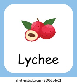 Flat Illustration of Lychee with Text Vector Design. Education for Kids.