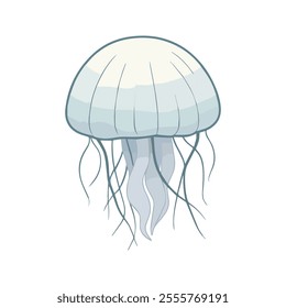 Flat illustration of a moon jellyfish with soft white and blue tones, minimalistic design, smooth, clean background, stylized