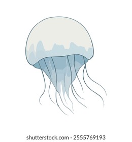 Flat illustration of a moon jellyfish with soft white and blue tones, minimalistic design, smooth, clean background, stylized