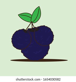 Ilustración plana. Frutos de moras aislados en el fondo. Adecuado para papel pintado, banner, Ilustración de libro infantil, invitación de tarjeta, volante, diseño web. Comida saludable.