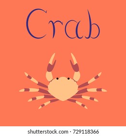 flat illustration on background animal crab