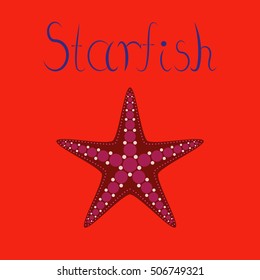 flat illustration on background tropical starfish