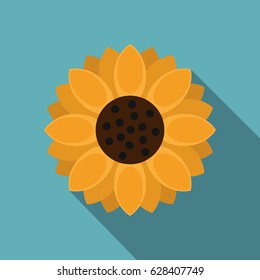 Flat illustration of orange gerbera flower vector icon for web on baby blue background