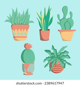 Flat illustration of ornamental potted plant