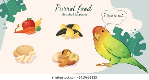 Flat illustration of a pet parrot, illustration with stroke and fill.  Illustration of different food for a parrot, vegetables and fruits, nuts, cereals and different seeds.