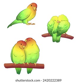 Flat illustration of a pet parrot, illustration with stroke and fill. The parrot is talking. A couple of parrots in love.