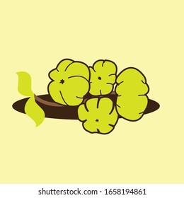 Ilustración plana. Phyllanthus acidus se aísla sobre fondo liso. Adecuado para papel pintado, banner, Ilustración de libro infantil, invitación de tarjeta, volante, diseño web. Comida saludable.