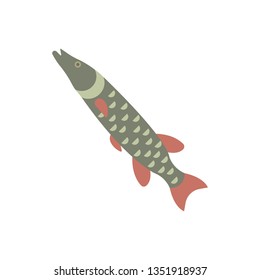 Flat illustration of a pike for food market and restaurant.