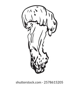 Flat illustration Polish mushroom, hand drawn in graphic style. Mushroom for design. Vector illustration