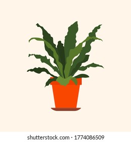 Flat illustration of a potted plant
