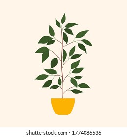 Flat illustration of a potted plant