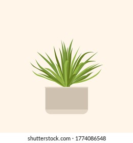 Flat illustration of a potted plant
