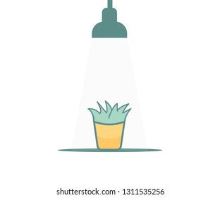 Flat illustration Potted plants and lights on it with green and yellow colors