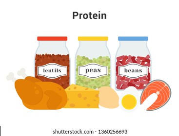 Flat illustration: products that contain protein on a white background. Set of icons: chicken, fish, meat, egg, beans, peas, lentils