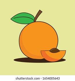 Flat Illustration. Prunus armeniaca fruit isolated on plain background. Suitable for wallpaper, banner, Children book illustration, card invitation, flyer, web design. Healty Food.
