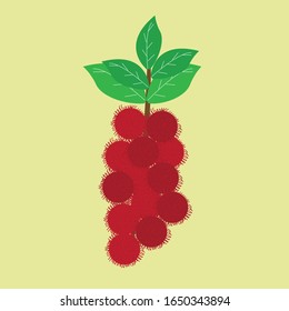 Flache Illustration. Rambutan-Früchte einzeln auf einfarbigem Hintergrund. Geeignet für Tapete, Banner, Kinderbuchgrafik, Einladung, Flyer, Web-Design. Gesundes Essen.