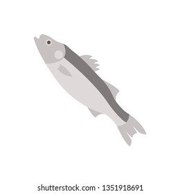 Flat illustration of a sea bass for food market and restaurant.