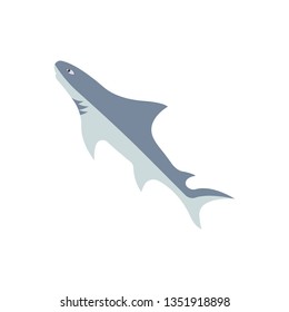 Flat illustration of a shark for food market and restaurant.
