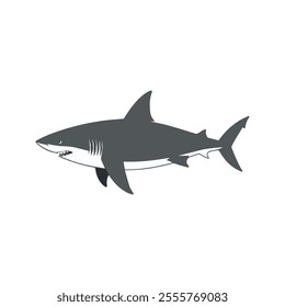 Flat illustration of a shark with long streamlined body, sharp fins, curved shape, minimalistic design, clean background