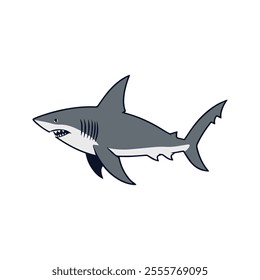 Flat illustration of a shark with long streamlined body, sharp fins, curved shape, minimalistic design, clean background