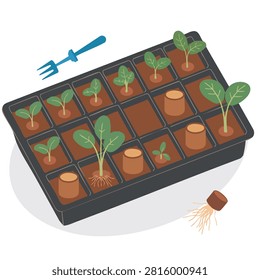 A flat illustration showing a black plastic seedling tray with various small plants growing in soil plugs, including a blue garden fork and a detached root plug.