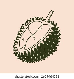 Flat illustration sketch of Durian fruit, showcasing the tropical fruit's unique shape and spiky exterior. Perfect for food, travel, and Southeast Asian-themed designs.