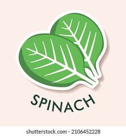 Flat illustration of spinach isolated on background. Simple icon for menu, smoothie recipes. Sticker object