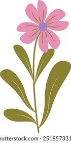Flat Illustration of Spring Flower. Isolated on White Background. Vector Cartoon Illustration