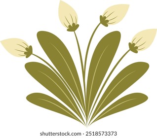 Flat Illustration of Spring Flower. Isolated on White Background. Vector Cartoon Illustration