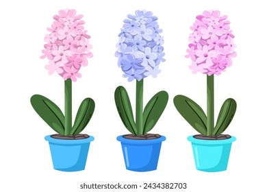 Flat illustration for spring season, geocynth, flower in pot svg