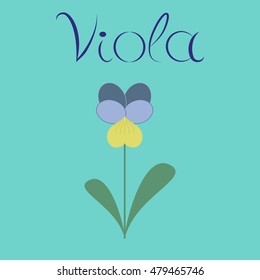 flat illustration stylish background plant Viola