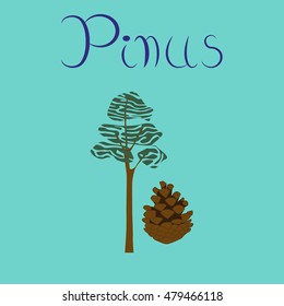 flat illustration stylish background plant Pinus